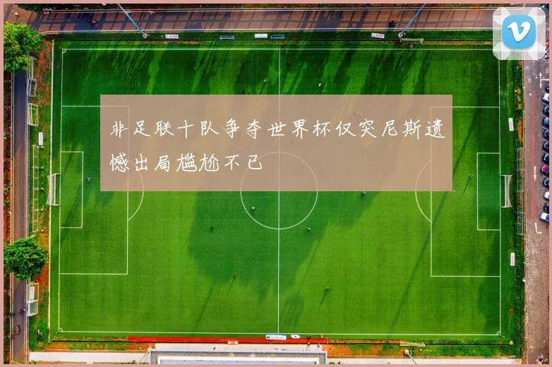 非足联十队争夺世界杯仅突尼斯遗憾出局尴尬不已